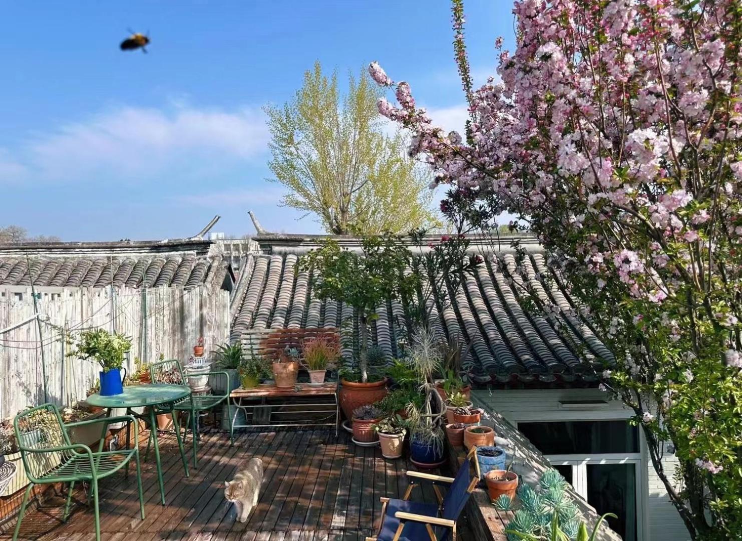 Peking Garden Boutique Hotel Bagian luar foto