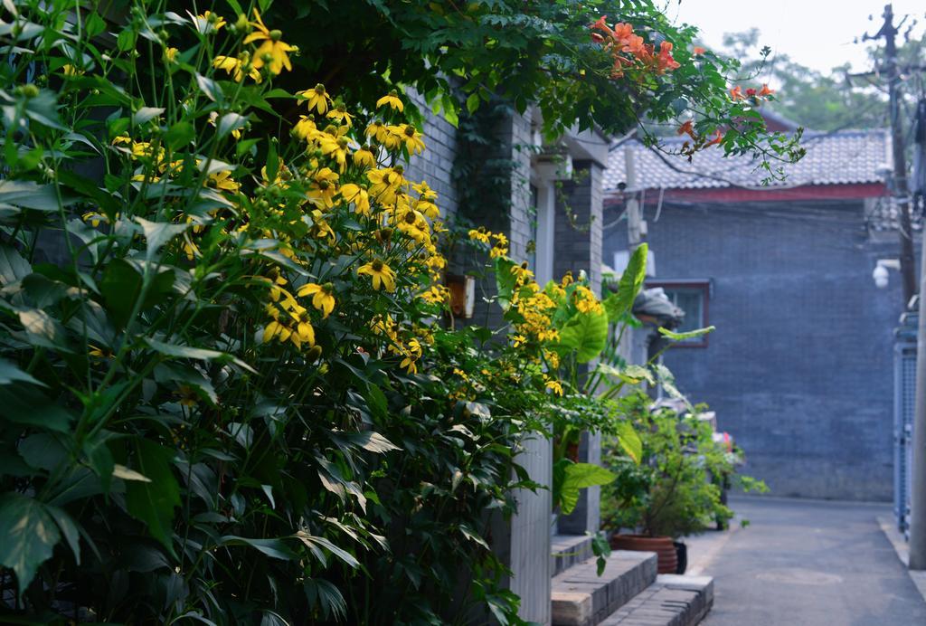 Peking Garden Boutique Hotel Bagian luar foto