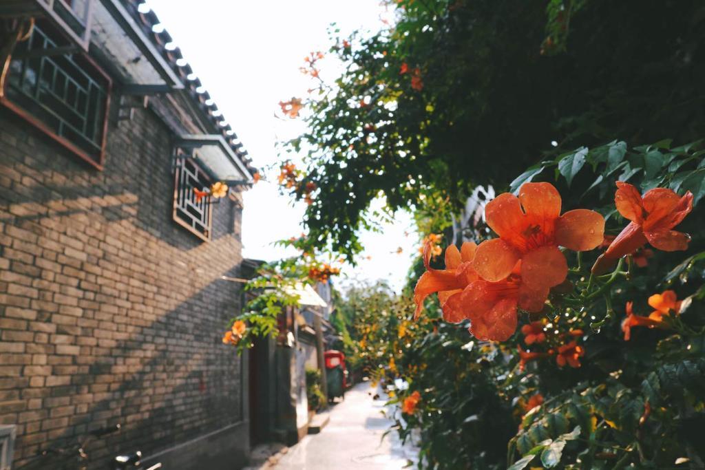 Peking Garden Boutique Hotel Bagian luar foto