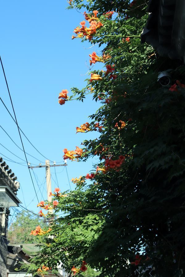 Peking Garden Boutique Hotel Bagian luar foto